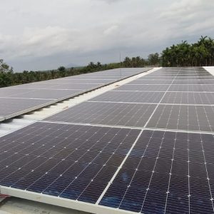 WhatsApp Image 2025-10-14 at 3.42.28 PM (2)